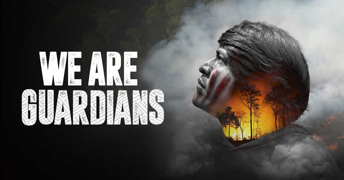 Bild vom Film We are guardians