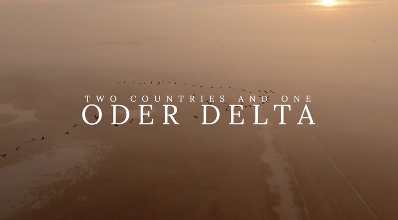 two countries and one oder delta